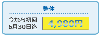 整体