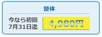 整体