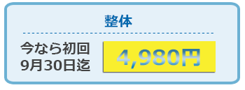 整体