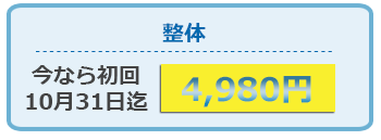 整体